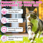 Collagen for Cats, Liquid Collagen for Cat, Liquid Collage Skin and Coat Cats, Cats Collagen, Itch Relief for Cat with Biotin, Supplement for Cats Salmon Flavor