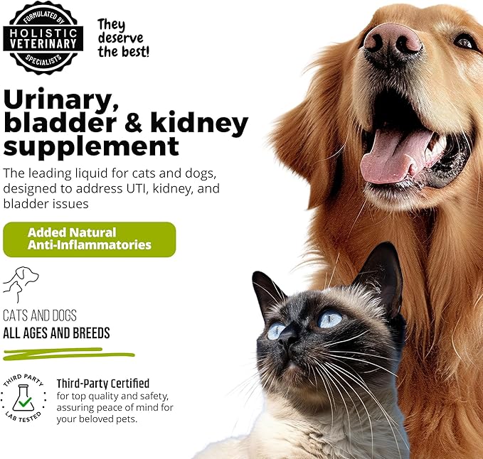UroMAXX, Cat & Dog Urinary Tract Treatment, Bladder & Kidney Support for Dogs and Cats, Powerful Yet Gentle Pet Care, with Liquid Cranberry & Glucosamine, Chicken Flavor, 6 oz Bottle, 1 Pack