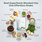 310 Nutrition All-In-One Meal Replacement Shake Powder - Plant-Based Protein Smoothie Blend w/High Fiber, Probiotics & Adaptogens - Low Carb, Vegan, Keto & Paleo Friendly - Tropical Coconut - 14 Srv