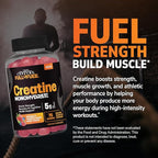 21st Century Full Fuel 365 Creatine Monohydrate Gummies, 5g Per Serve, Muscle Strength, Recovery & Cognitive Support, Mixed Berry Flavor, 75 Gummies
