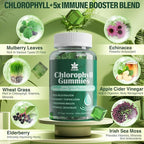 Chlorophyll Gummies - Super Green with Wheat Grass, Sea Moss, Unfiltered ACV & Elderberry, Echinacea, Zinc Complex & Vitamin D3, C, E, B12 for Natural Deodorant, Immune & Digestion Support, Pack of 2