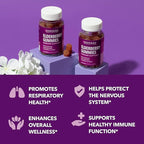 Sambucus Elderberry Gummies for Adults - Immune Support Supplement with Vitamin C and Zinc - Enhanced Formula for Daily Defense - 60 Count, 1 Month Supply, Berry Flavor - Convenient Wellness