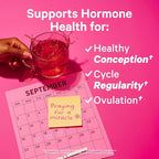Pink Stork Organic Fertility Tea for Women | Fertility Supplements for Women with Chaste Tree Berry (Vitex) + Red Raspberry Leaf | Hormone Balance Herbal Tea for Conception Support | USDA Organic, Caffeine Free - Mint, 15 Sachets