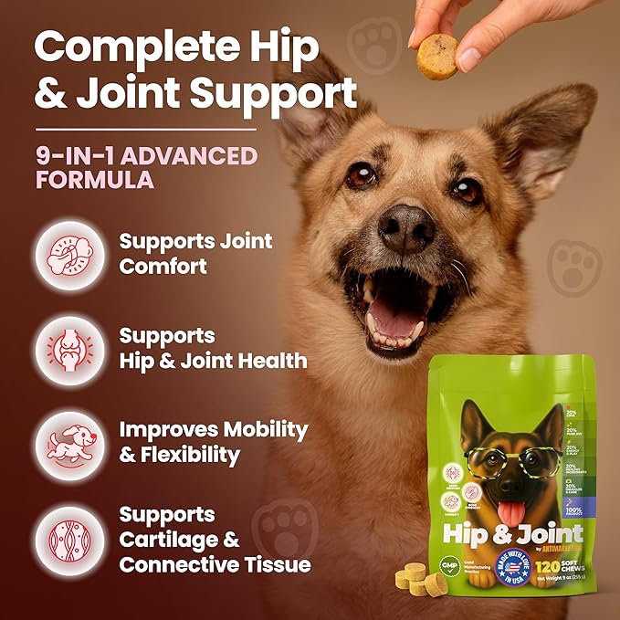 Glucosamine for Dogs Hip & Joint Supplement, Dog Glucosamine Chondroitin for Dogs, MSM & Turmeric – 120 Dog Joint Supplement Chews for Large & Small Breed