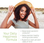 Irwin Naturals Sunny Mood with 5-HTP - 80 Liquid Soft-Gels - Supports Emotional Well-Being & Relaxation - 40 Servings