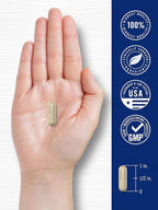 Carlyle Cortisol Supplement | 60 Vegan Capsules | Ashwagandha & Magnesium Complex | Non-GMO, Gluten Free
