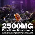 Organic Functional Mushroom Gummies with Ashwagandha | 2500MG | 20% More Gummies | Vegan, Gluten-Free, Non-GMO | 80 Count