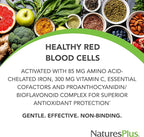 NaturesPlus Hema-Plex Iron - 60 Fast-Acting Capsules - 85 mg Chelated Iron + Vitamin C & Bioflavonoids for Healthy Red Blood Cells - Vegan, Gluten Free - 30 Servings