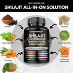 8-in-1 Shilajit 9000 Panax Ginseng 1500MG Ashwagandha 2000MG Rhodiola Rosea 1000MG, Turmeric 500MG, Gingko Biloba 500mg, Stinging Nettle 250MG, Cordyceps Mushroom 500 MG for Full Body Power