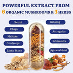 Japanese Reishi Mushroom Complex Supplement 1500mg - Reishi,Chaga,Cordyceps,Lion's Mane,Maitake,Agaricus Mushrooms Extract & 3 Herb,Organic Mushroom Capsules for Immune,Brain (Pack of 2)