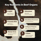 MK Supplements Grass-Fed Beef Organs Capsules | 5 Organs in Nature-Identical Ratios | B12, Copper & Heme Iron | Regeneratively Raised | 150 Capsules