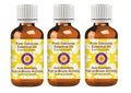 dève herbes Pure Oakmoss Essential Oil (Evernia prunastri) 100% Therapeutic Grade Steam Distilled for Personal Care (Pack of Three) 100ml X 3 (10.1oz)