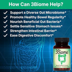 Natural Probiotic Supplement - Non-GMO, Vegan, Gluten-Free