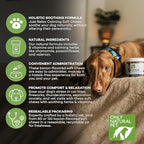 Only Natural Pet - Just Relax Herbal Calming Soft Chews for Dogs | Natural Anxiety Relief Treats, Premium Dog Relaxation Aid, Stress and Anxiety Relief Supplement - Bacon Flavor - 60 Soft Chews