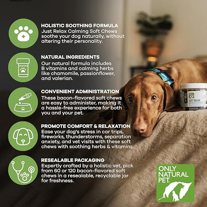 Only Natural Pet - Just Relax Herbal Calming Soft Chews for Dogs | Natural Anxiety Relief Treats, Premium Dog Relaxation Aid, Stress and Anxiety Relief Supplement - Bacon Flavor - 60 Soft Chews