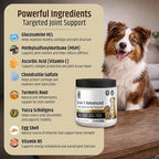 PetriGuard | Advanced Hip, Back & Joint Supplement for Dogs | Ultra Strength Formula w/ 8 Active Ingredients | USA Made & Veterinarian Approved | Glucosamine, Turmeric, MSM + 5 More - 120 Chews