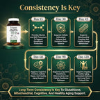 PRISTINE'S Supplement GlyNAC Complex Large Size Tablet 1600MG Glutathione Production - 3rd Party Tested Anti Aging, Sleep & Cognitive Support - Glycine & NAC Gluten Free Non GMO USA Made Glass Bottle