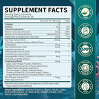 Sea Moss Gummies with Ashwagandha & Chlorophyll, Immune, Digestive and Gut Detox Support, Powered by Black Seed Oil, Vitamin C, Vitamin D & Magnesium, GMO, Vegan, Apple Flavor, 120 SeaMoss Gummies