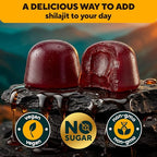 VitaUp Himalayan Shilajit Gummies - Sugar Free Natural Shilajit Gummies with Fulvic Acid, Ashwagandha, Lions Mane, Black Seed - Immune & Energy Support - 120 Count