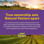 Natural Factors Organic Low FODMAP Reliefiber Powder - Digestive Health Support Supplement with Dietary & Soluble Fiber - Gut Health Support Aids Mild Bloating - Unflavored, 5.3 oz (30 Servings)