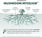 Host Defense MycoBotanicals Liver* Capsules - Liver Health Supplement with Milk Thistle & Turmeric Root - Mushroom Supplement with Turkey Tail, Reishi & Chaga - 60 Capsules (30 Servings)*