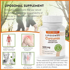 Liposomal Turmeric Curcumin Supplement - High Absorption Capsules for Immune & Joint Support - Non-GMO, No Fillers, No Additives, No Black Pepper - 500mg Per Serving - 60 Capsules