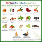 Bodymune JointWorks – Organic Joint & Muscle Support Supplement – Promotes Mobility, Flexibility & Comfort – 66 Capsules (2-Month Supply) – USDA Organic, Vegan, Gluten-Free, Non-GMO