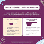 Body Kitchen Collagen + 250 mg Elastin – Supports Skin Hydration, Elasticity & Healthy Aging, Unflavored Powder (30 Servings)
