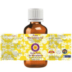 Deve Herbes Pure Macadamia Oil (Macadamia ternifolia) Cold Pressed (Pack of Five) 100ml X 5 (16.9 oz)