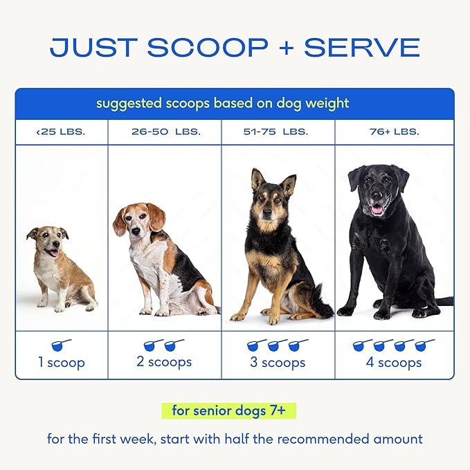 Native Pet Senior Daily Dog Vitamins & Supplements – 12-in-1 Dog Multivitamin Powder for Senior Dogs – Supports Mobility, Cognition, Digestion, Immune Health & More – 120 Scoops