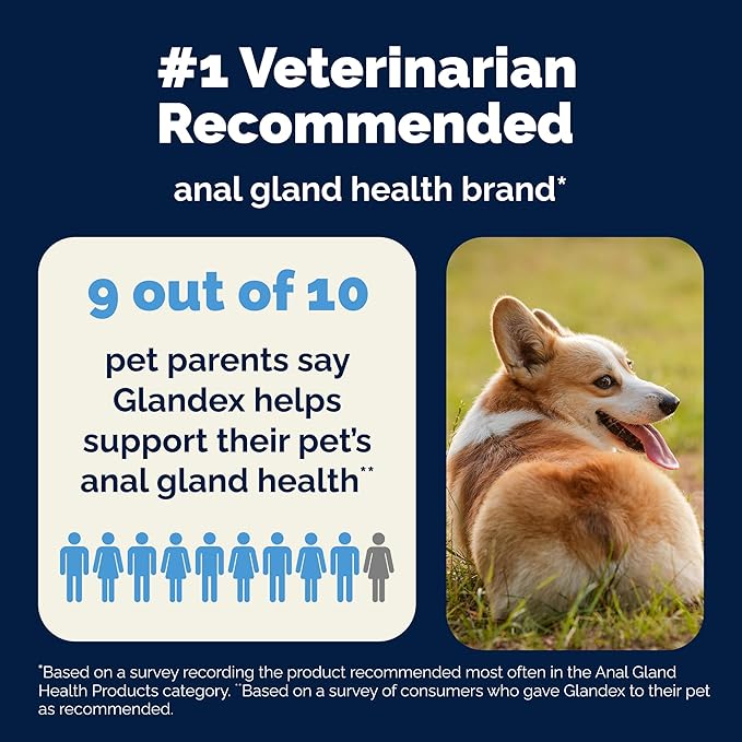 Vetnique Glandex Anal Gland Soft Chew Treats with Pumpkin for Dogs Digestive Enzymes, Probiotics Fiber Supplement for Dogs Boot The Scoot (Bacon Flavor Chews, 60 Count) (Pack of 2)