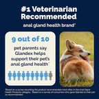 Vetnique Glandex Anal Gland Soft Chew Treats with Pumpkin for Dogs Digestive Enzymes, Probiotics Fiber Supplement for Dogs Boot The Scoot (Bacon Flavor Chews, 30 Count) (Pack of 2)