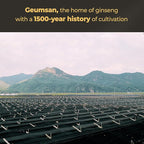 GeumHeuk Korean Black Ginseng Extract Every Ginseng Plus. 10g X 30 Stick Pouches. Immune Support, Energy Booster, Fatigue Recovery, Mental Performance. Patented Method.