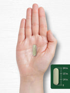 Carlyle Dong Quai Capsules | 250 Count | Non-GMO and Gluten Free Supplement | Traditional Herb