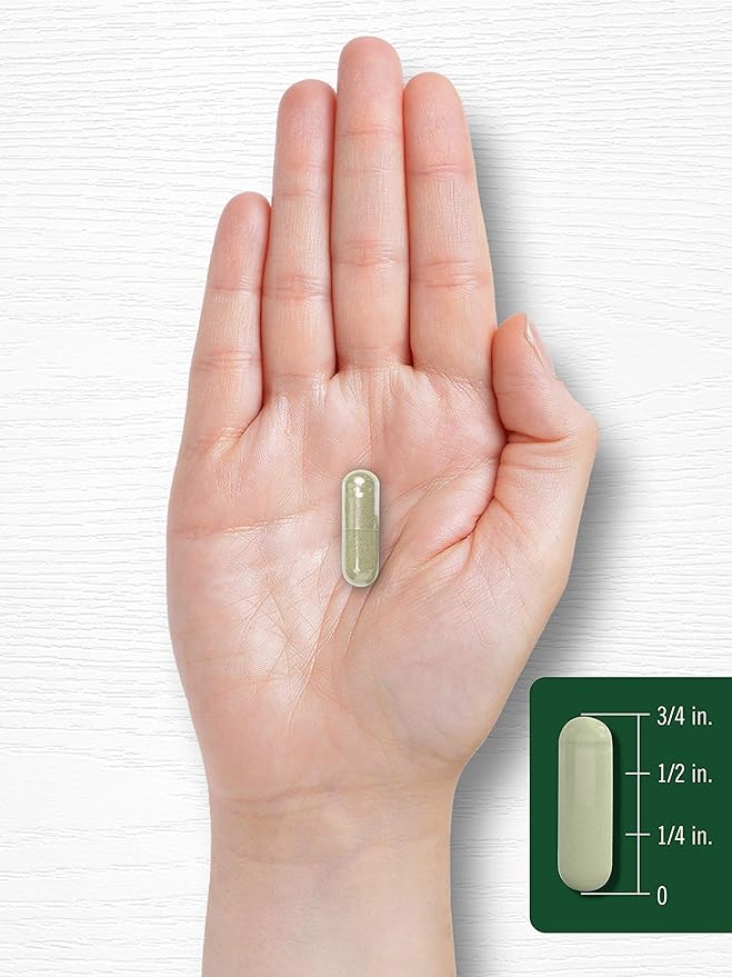 Carlyle Dong Quai Capsules | 250 Count | Non-GMO and Gluten Free Supplement | Traditional Herb