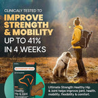 VetriScience Ultimate Strength Healthy Hip & Joint Chews, GlycoFlex Glucosamine, Chondroitin and Green-Lipped Mussel Joint Support Supplement for Dogs, Soothe Joint Discomfort, Bacon, 120 Count