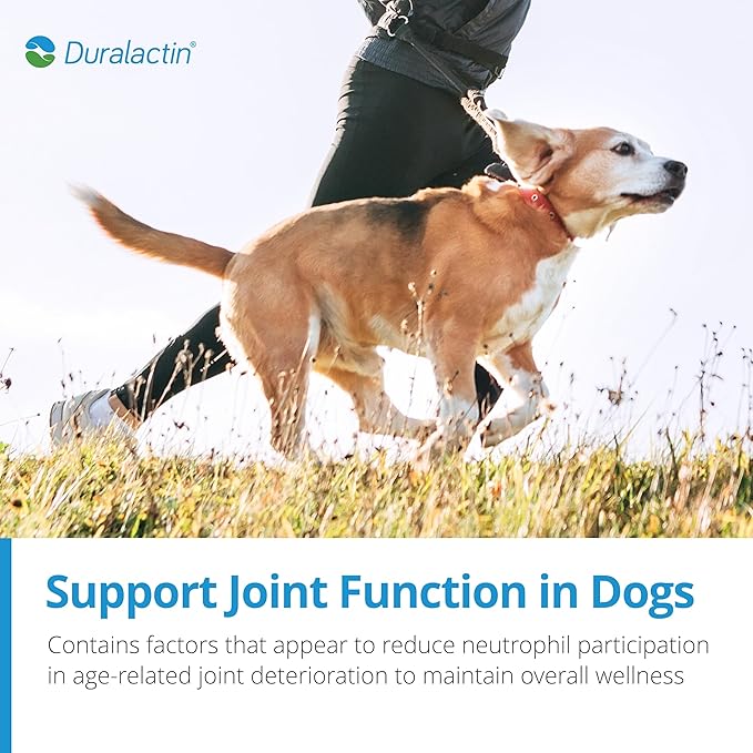 PRN Pharmacal Duralactin Canine Chewable Tablets - Joint Health Supplement for Dogs & Puppies - Pet Mobility Support - Vanilla Flavored Chews - 60 Count