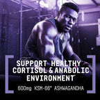 BEYOND RAW Anabolic Sleep, Duel-Release Stress, Sleep, & Recovery Support, 60 Count