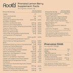 Root'd Prenatal DHA + Multivitamin Powder for Pregnancy Support, Fetal Development, Hydration & Immune Boost - Vegan, Non-GMO, Sugar Free - for Mom