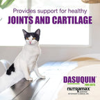 Nutramax Dasuquin Joint Health Supplement for Cats - with Glucosamine, Chondroitin, ASU, Boswellia Serrata Extract, Green Tea Extract, and Omega-3, 84 Soft Chews,(Pack of 2)
