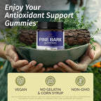 HERBAMAMA Pine Bark Extract Gummies - 300mg French Maritime Pine Bark Tree for Antioxidant Support - Vegan, Non-GMO Pinus Pinaster Supplement - 60 Pectin-Based Blueberry-Flavored Chews