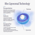 Rho Nutrition Liposomal Collagen Peptides - High-Absorption Liquid Collagen Supplement - Supports Skin Elasticity, Joint Health, and Overall Vitality for Healthy Aging, 5 fl oz