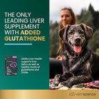 VetriScience SAMe Liver Health Tablets, 225 mg S-Adenosyl-Methionine Liver Health and Detox Supplement for Medium and Large Breed Dogs, Glutathione Antioxidant Liver Support, 30 Count