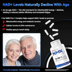 NMN Supplement, 5-in-1 Complex with NAC, Alpha Lipoic Acid, CoQ10 & Resveratrol - High Absorption Anti Aging Formula - Third Party Tested, cGMP, Gluten Free - 60 Capsules