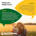 Rooted Owl Joint and Muscle Support for Cats and Small Dogs (Under 30 Lbs) - Supplement with UC-II Type II Collagen and L-Carnitine - 30 Count