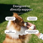 PetLab Co. Joint Care Chews - High Levels of Glucosamine for Dogs, Green Lipped Mussels, and Omega 3 - Dog Hip and Joint Supplement to Actively Support Mobility - Packaging May Vary - Salmon