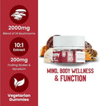 Troomy Daily 14 Mushroom Blend Gummies - Great Tasting Natural Mango Strawberry Flavor, Gelatin-Free, Gluten-Free, Vegetarian - 30 Count