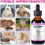 Collagen for Cats, Liquid Collagen for Cat, Liquid Skin and Coat Itch Relief for Cat with Biotin, Collage Supplement for Cats Salmon Flavor-120ml