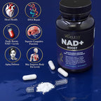 Ageless NAD+ Supplements for Women & Men | 300mg Nicotinamide Riboside Chloride | Dietary Supplement for Anti-Aging | Supports Energy, Focus, Stamina, Fat Metabolism & Cognitive Function – 90 Capsules