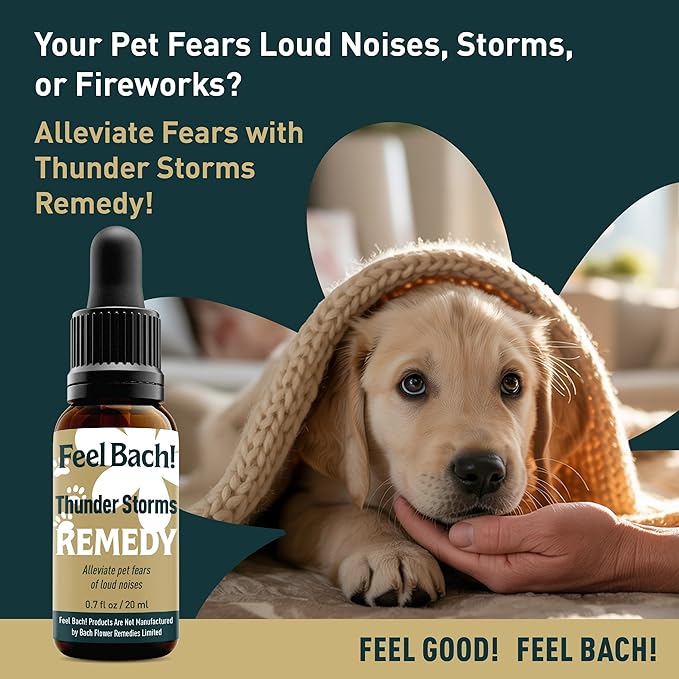 Feel Bach! Thunder Storms Remedy - Natural Homeopathic Flower Essences to Alleviate Pet Fears to Noise, Fireworks, Storms, & Booms - Vegan, Gluten & Sugar-Free, Non-Habit Forming, 20ml (0.7 fl oz)